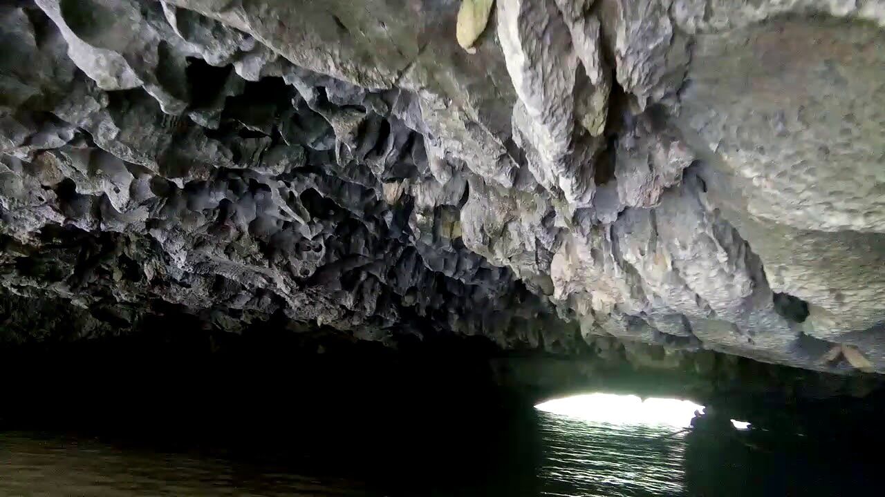 Experience Tam Coc’s culture with guided tours